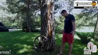 Что будет при ударе молнии в дерево?!