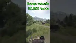 Тимейт 20.000 часов #rust #раст #мемы #shorts #inside
