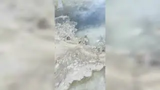 Где-то в деревне 04.04.2024