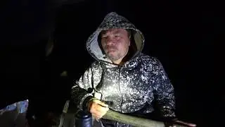 ПЕСНЯ ПРО ЛИСУ АЛИСУ В ЛЕСУ.