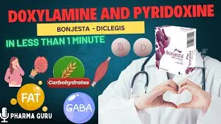 Doxylamine and Pyridoxine - Bonjesta -  Diclegis All You Need to Know In Just Less than 1 Minute.