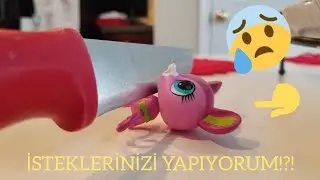 Minişler: İSTEKLERİNİZİ YAPIYORUM?!? (Minişimi kestim)