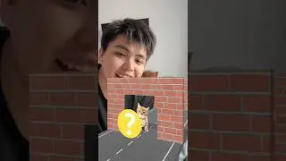 ПОВТОРЯЕМ ЗВУКИ ЖИВОТНЫХ 2 ЧАСТЬ 