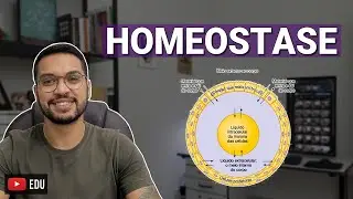 O QUE É HOMEOSTASE? [Metabolismo 08]