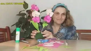 Декоративна орхидея