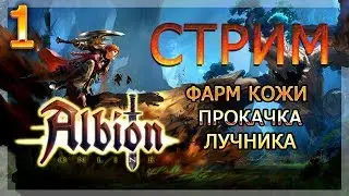 Albion Online . фарм кожи и прокачка лучника