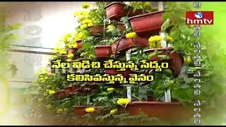 Organic Method in Hydroponics - Vertical Farming - Marigold Flowers - Hydrofarmer
