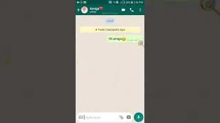 série: a minha amiga falsa parte #1