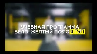 9 ГУП - БЕЛО-ЖЕЛТЫЙ ПОЯС