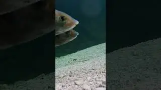 Us in another universe