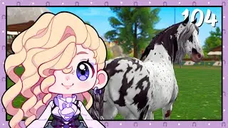 Before You Buy the Rusted Purple Friesian... - Star Equestrian [104]