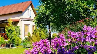 Как КРАСИВО ОТДЕЛИТЬ ОГОРОД от ЗОНЫ ОТДЫХА 🏠 🌿Сам Себе Дизайнер. Мой Опыт.  