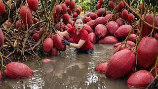 Harvesting 1000+Kg Lots of Red Coconuts – Taking Them to the Countryside Market 🥥🌴