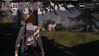 Life is strange: Gamme dynamique - succès / achievement  n°7 épisode 2