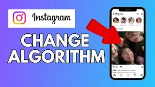 How to Change Instagram Algorithm 2024?