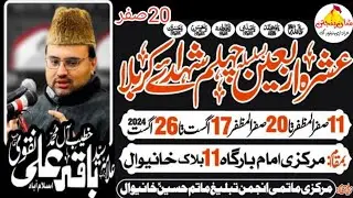 Majlis 20 Safar 2024| Allama Syed Baqir Ali Naqvi | Ashra Arbaeen #majlis #allama #shanepanjtan