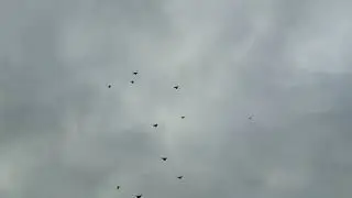 здобрым утром
