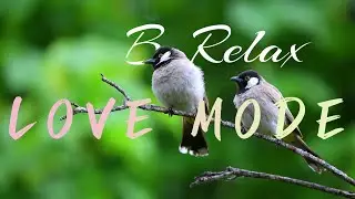 Relaxing Music - Love Mode