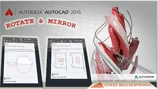 Rotate and Mirror