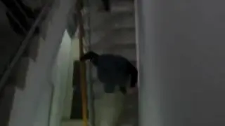 Активисты разбираются с сепаром-начальником Киевтранспарксервиса