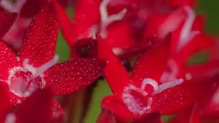 Loving Kindness Meditation for Neutral and Difficult Ones