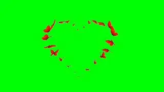 Green screen video //effect Love heart  green screen effect