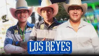 ¡SE LLEVA FUERTE GOLPE Y AUN ASI REPITE MONTA! GARROBO DE ZUMPANGO EN LOS REYES, HIDALGO