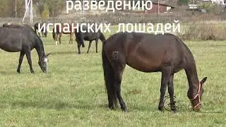 Girich EquiFarm