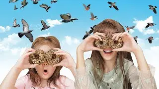 Птичьи козинаки /🐣 Угощаем птиц / Агата класс 👍