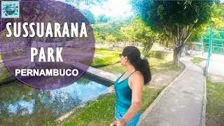 Sussuarana Park - Paulista - Pernambuco