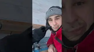 Научил открывать двери 