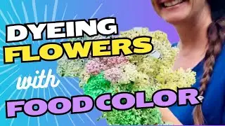 How I turned white flowers into a rainbow bouquet!