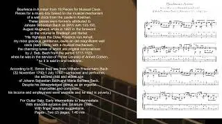 Bourlesca in A minor