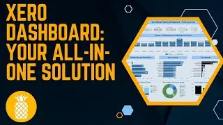 Xero Dashboard: Centralize Bookkeeping, Accounting, and CFO Insights for All of Your Clients!
