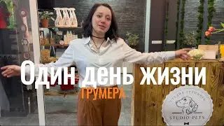 VLOG/ ОДИН ДЕНЬ ЖИЗНИ ГРУМЕРА/ 8 МАРТА/  #viral #vlog #видео #влог
