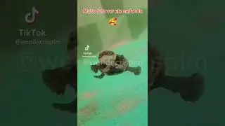O SonicFlix - Episódio 1