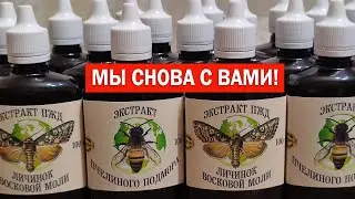 Мы снова с вами! || We are with you again!