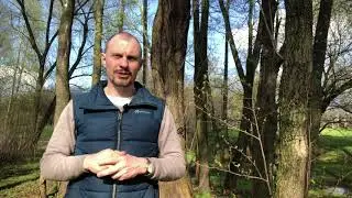 Успешные и состоятельные люди обладают своей Силой Рода