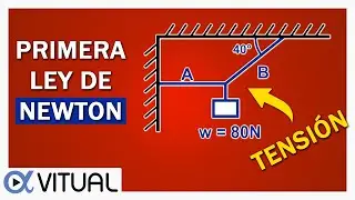 💥PRIMERA LEY DE NEWTON: Solución de Problemas de Equilibrio Traslacional (TENSIÓN)