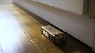 Everyday Rodent Control Solutions