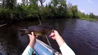 An Incredible Day Fly Fishing for Smallmouth Bass