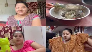 আজ আমার ভবিষ্যৎ প্ল্যান এর কিছু কথা তোমাদের কে বললাম || Onekta din por babar barite aj ranna korlam