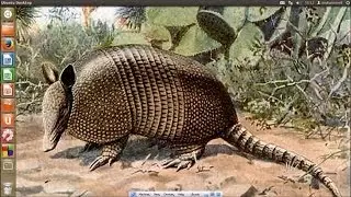 Armadillo Tut 3   Acessing the matrix