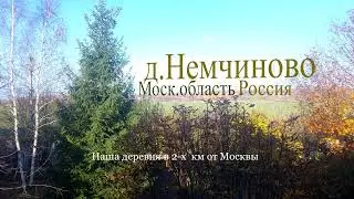 деревня Немчиново, Одинцовский район