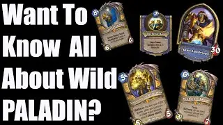 Wild Class Overviews: PALADIN!