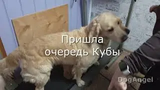 Ляля , Куба и Беговая Дорожка