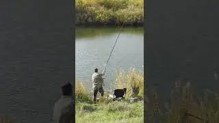 🦈 Evening in Nature 🎣 