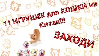 11 дешёвых игрушек для кошки из Китая.