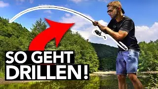 SO verlierst Du KEINEN Fisch mehr! 🎣 Fische RICHTIG DRILLEN!