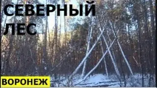 🎄  СЕВЕРНЫЙ ЛЕС. ВОРОНЕЖ 2021
